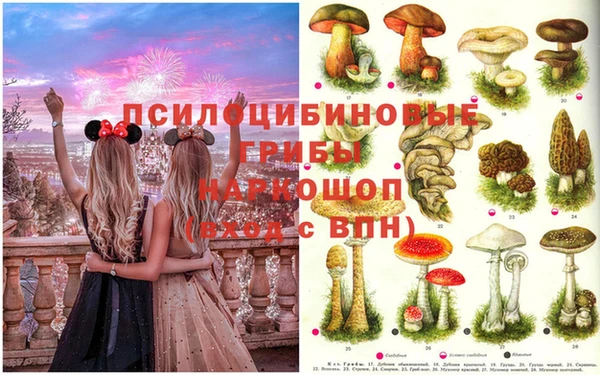 MESCALINE Алзамай