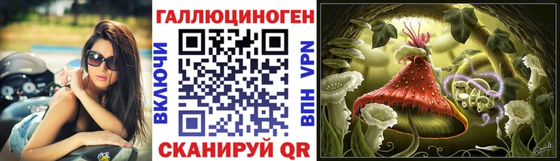 Псилоцибиновые грибы MAGIC MUSHROOMS  где можно купить   Ставрополь 